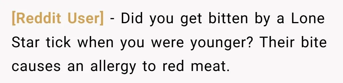 He Turned the Tables on a Scammer - And Made Them Pay (or Try to)