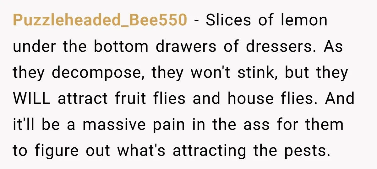 His Dad Kicked Him Out for a Girlfriend - Now He’s Plotting a Revenge That Will Haunt Their Apartment