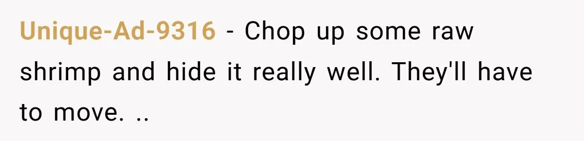 His Dad Kicked Him Out for a Girlfriend - Now He’s Plotting a Revenge That Will Haunt Their Apartment