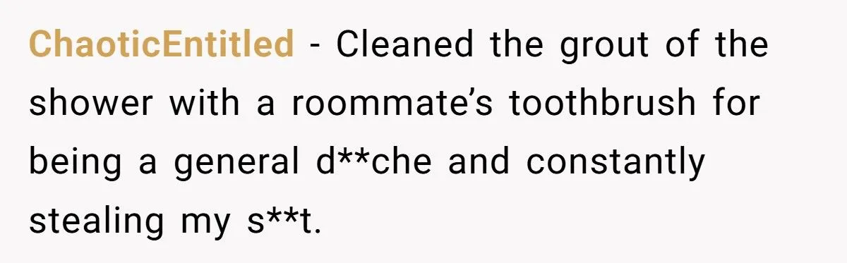 Roommate’s Washcloth Theft Backfires With A Grimy Revenge