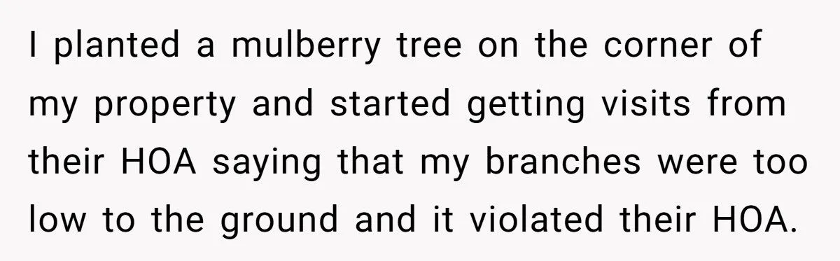 They Chopped His Tree Without Permission - Now an HOA Faces the Ugliest Revenge They’ve Ever Seen