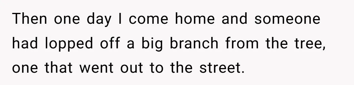 They Chopped His Tree Without Permission - Now an HOA Faces the Ugliest Revenge They’ve Ever Seen