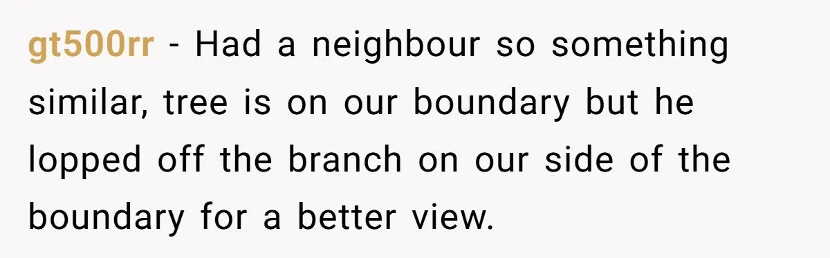 They Chopped His Tree Without Permission - Now an HOA Faces the Ugliest Revenge They’ve Ever Seen
