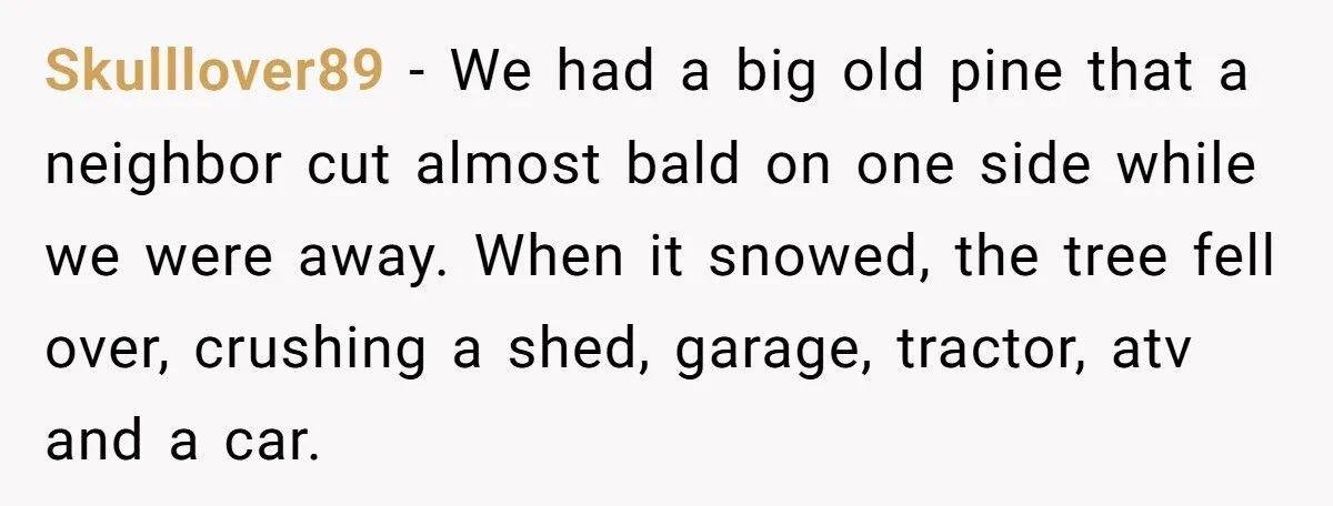 They Chopped His Tree Without Permission - Now an HOA Faces the Ugliest Revenge They’ve Ever Seen
