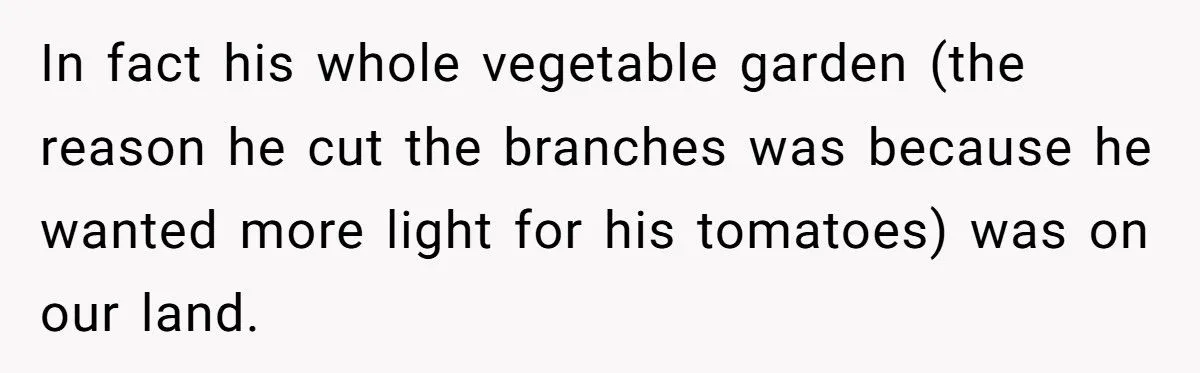 They Chopped His Tree Without Permission - Now an HOA Faces the Ugliest Revenge They’ve Ever Seen