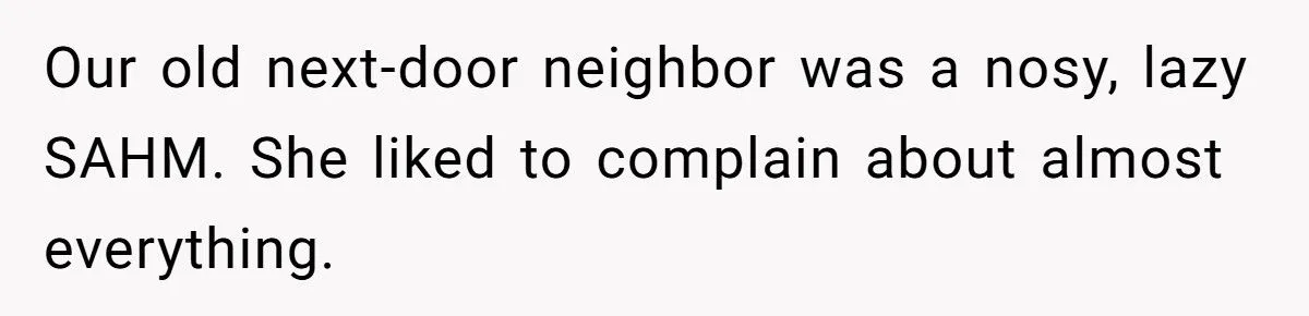 Nosy Neighbor Calls The Cops On A Movie Night, Dad’s Petty Revenge Steals The Show