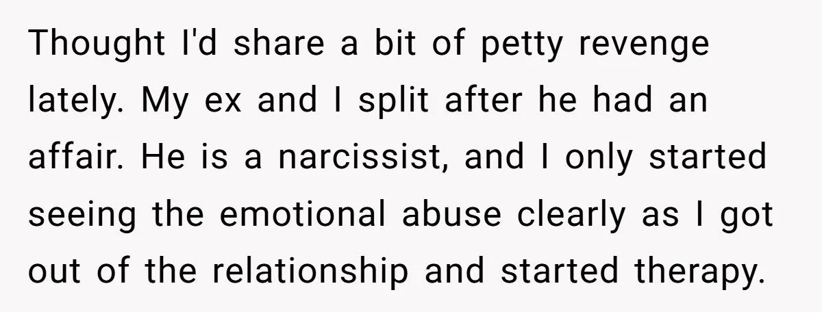 When A Redditor’s Petty Revenge Left Her Ex-MIL Seeing Double