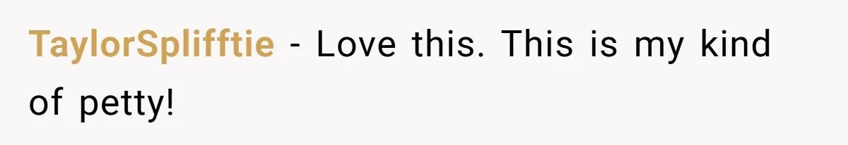 When A Redditor’s Petty Revenge Left Her Ex-MIL Seeing Double