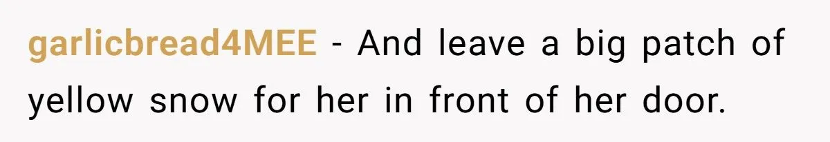 Landscaper Buries Client’s Driveway In Snow After Payment Dispute