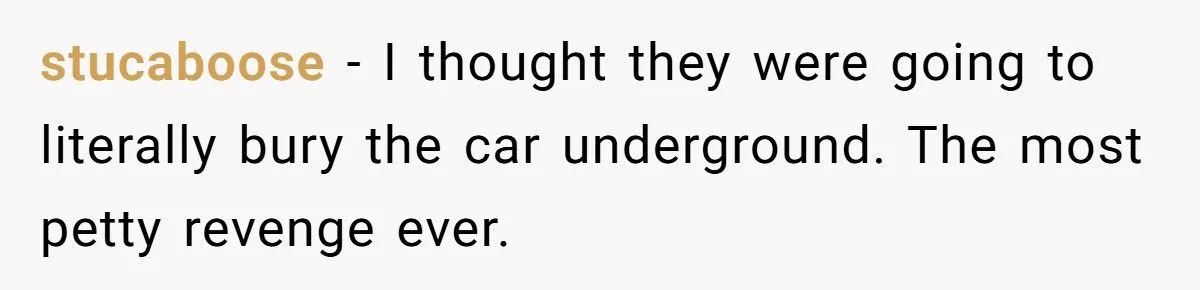 Landscaper Buries Client’s Driveway In Snow After Payment Dispute