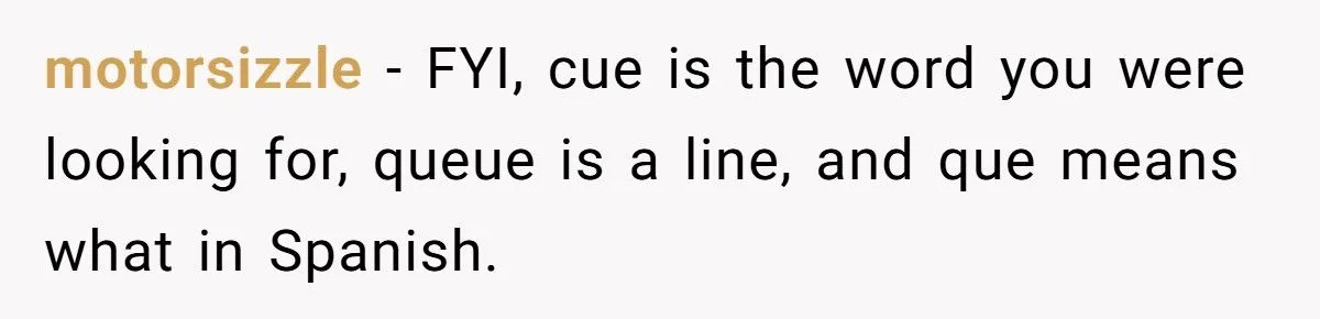 Landscaper Buries Client’s Driveway In Snow After Payment Dispute