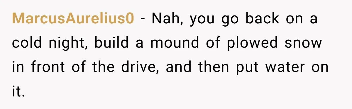 Landscaper Buries Client’s Driveway In Snow After Payment Dispute