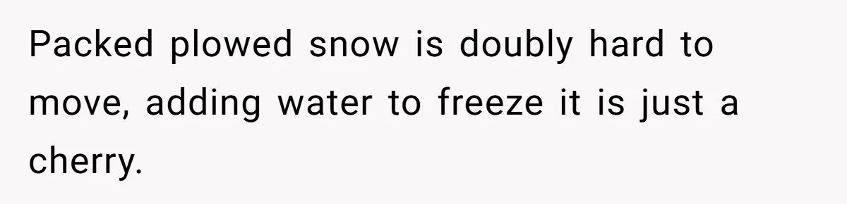 Landscaper Buries Client’s Driveway In Snow After Payment Dispute