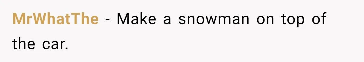 Landscaper Buries Client’s Driveway In Snow After Payment Dispute