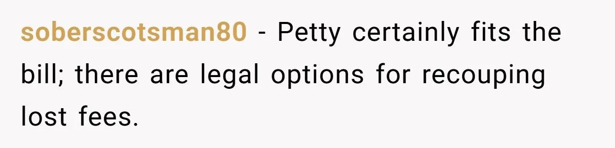 Landscaper Buries Client’s Driveway In Snow After Payment Dispute