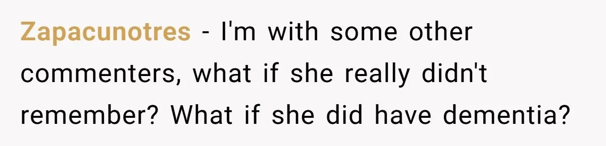 Landscaper Buries Client’s Driveway In Snow After Payment Dispute