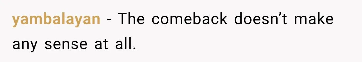 Landscaper Buries Client’s Driveway In Snow After Payment Dispute