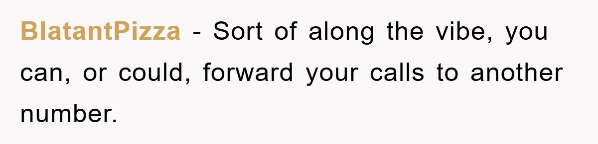 BlatantPizza − Sort of along the vibe, you can, or could, forward your calls to another number.