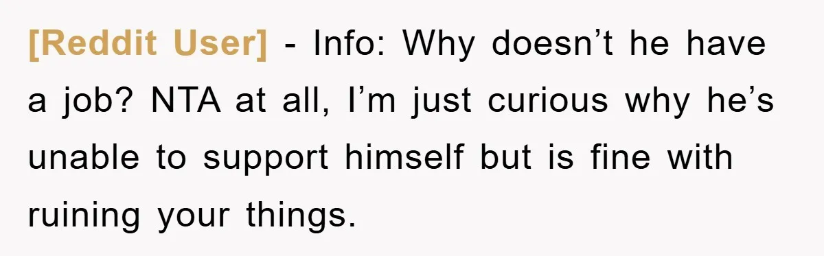 [Reddit User] − Info: Why doesn’t he have a job? NTA at all, I’m just curious why he’s unable to support himself but is fine with ruining your things.
