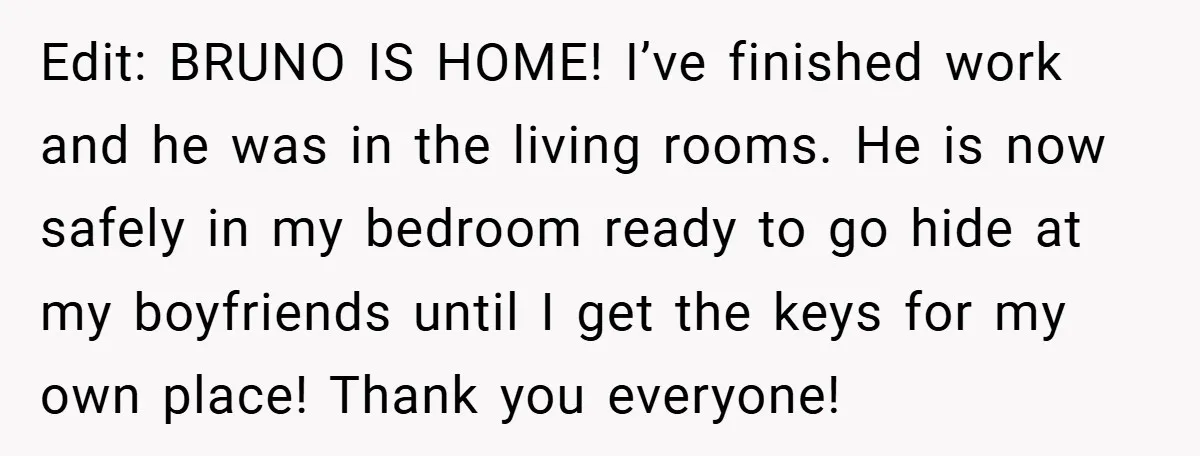 Edit: BRUNO IS HOME! I’ve finished work and he was in the living rooms. He is now safely in my bedroom ready to go hide at my boyfriends until I...