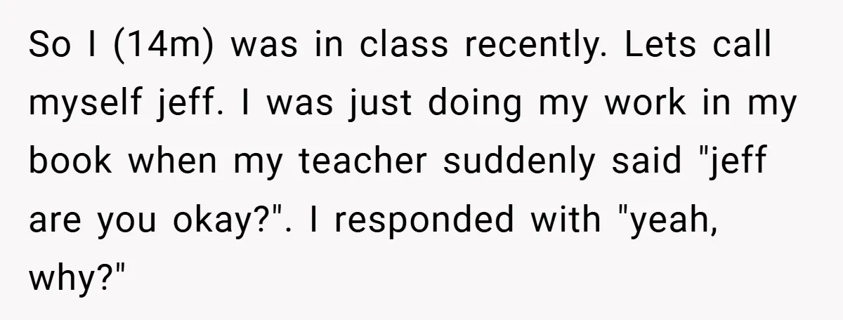 So I (14m) was in class recently. Lets call myself jeff. I was just doing my work in my book when my teacher suddenly said "jeff are you okay?". I...