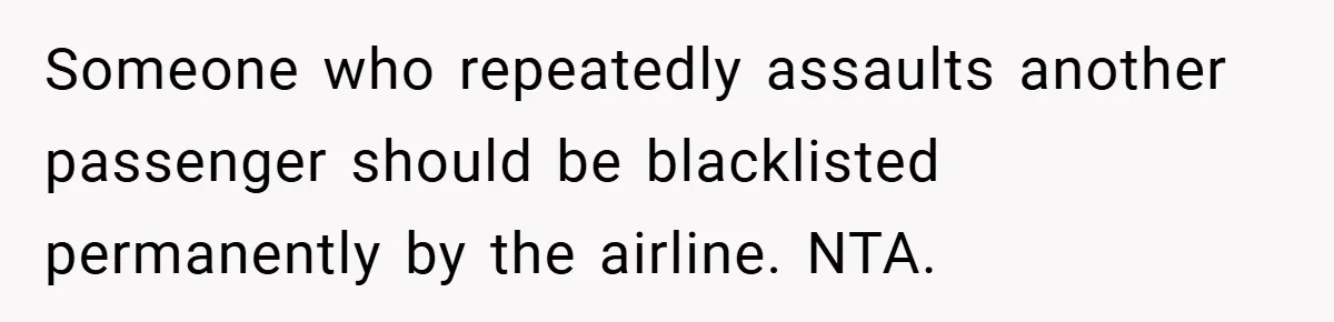 Someone who repeatedly assaults another passenger should be blacklisted permanently by the airline. NTA.