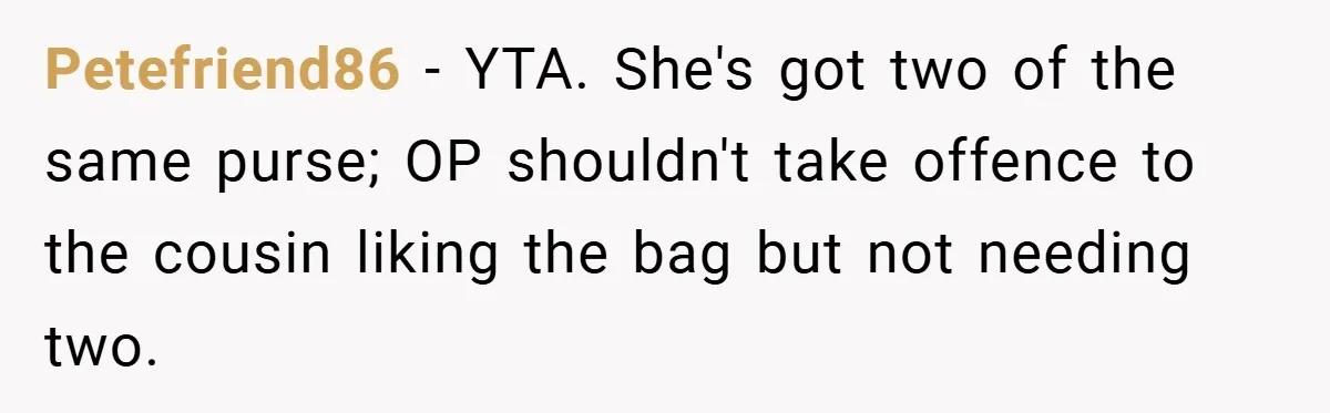 Petefriend86 − YTA. She's got two of the same purse; OP shouldn't take offence to the cousin liking the bag but not needing two.
