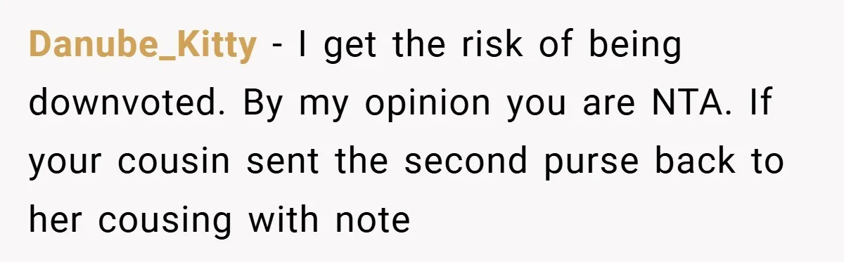 Danube_Kitty − I get the risk of being downvoted. By my opinion you are NTA. If your cousin sent the second purse back to her cousing with note