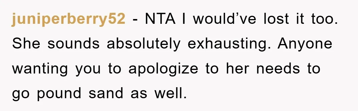 juniperberry52 − NTA I would’ve lost it too. She sounds absolutely exhausting. Anyone wanting you to apologize to her needs to go pound sand as well.