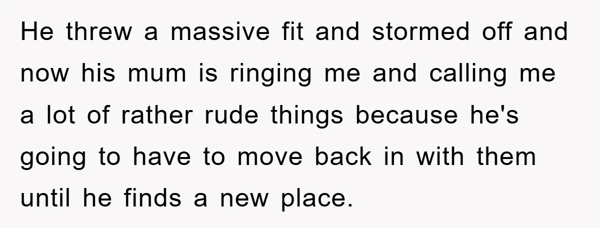 He threw a massive fit and stormed off and now his mum is ringing me and calling me a lot of rather rude things because he's going to have to...