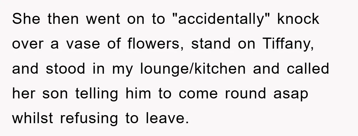 She then went on to "accidentally" knock over a vase of flowers, stand on Tiffany, and stood in my lounge/kitchen and called her son telling him to come round asap...
