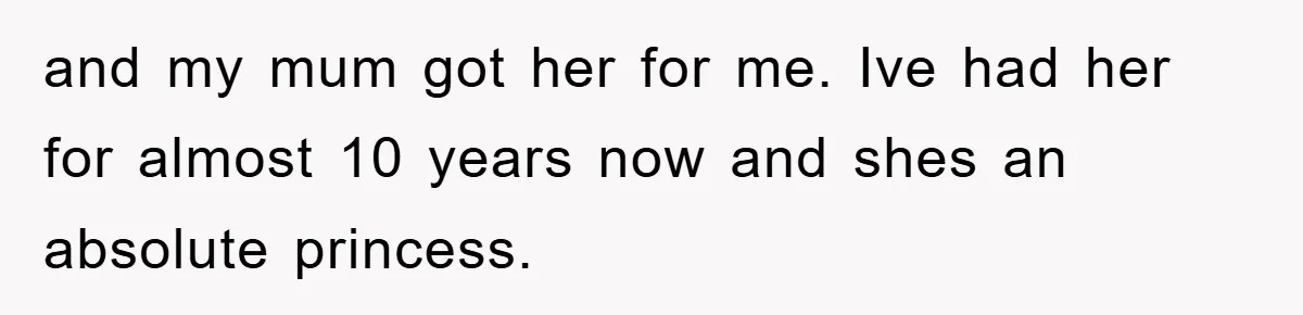 and my mum got her for me. Ive had her for almost 10 years now and shes an absolute princess.