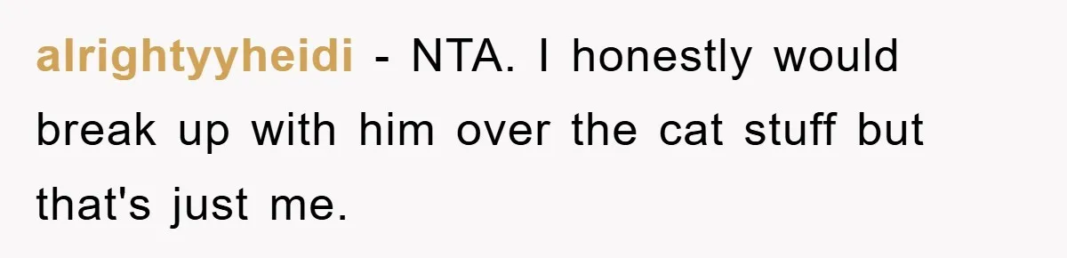 alrightyyheidi − NTA. I honestly would break up with him over the cat stuff but that's just me.
