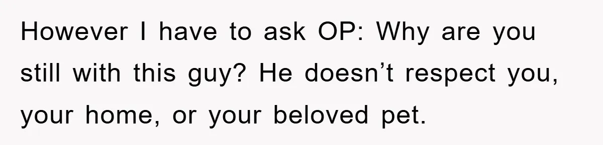 However I have to ask OP: Why are you still with this guy? He doesn’t respect you, your home, or your beloved pet.