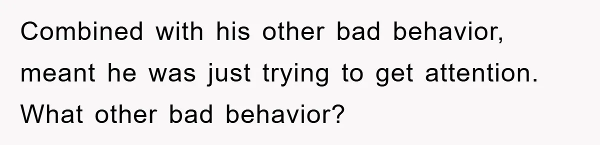 Mom Doubts Son’s Illness, Risks Rift Over Sister’s Health Needs Combined with his other bad behavior, meant he was just trying to get attention. What other bad behavior?