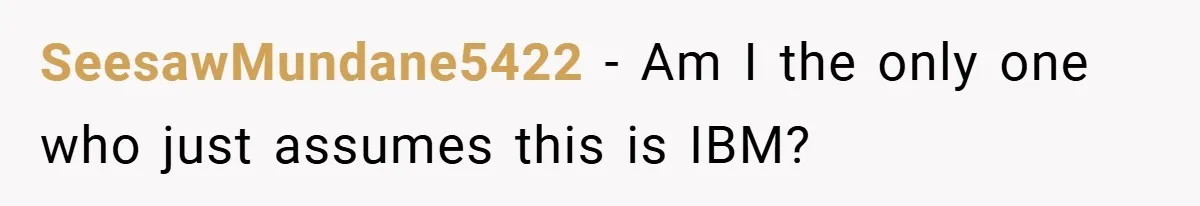 SeesawMundane5422 − Am I the only one who just assumes this is IBM?