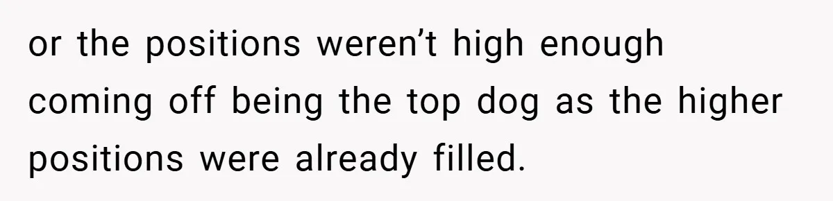 or the positions weren’t high enough coming off being the top dog as the higher positions were already filled.