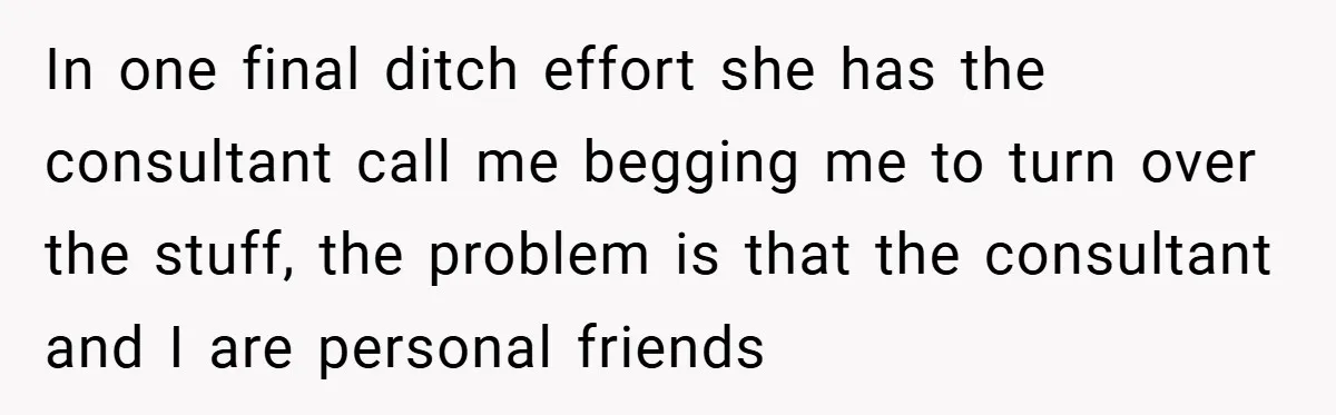 In one final ditch effort she has the consultant call me begging me to turn over the stuff, the problem is that the consultant and I are personal friends
