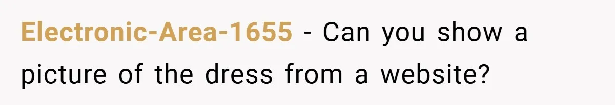 Electronic-Area-1655 − Can you show a picture of the dress from a website?