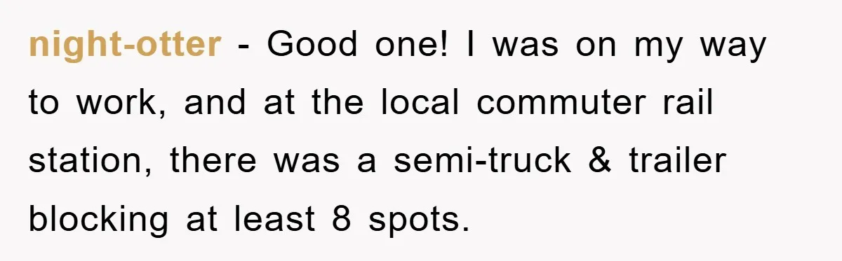 Dispensary Worker Gets Armored Driver Ticketed For Blocking Handicap Spots night-otter − Good one! I was on my way to work, and at the local commuter rail station, there was a semi-truck & trailer blocking at least 8 spots.