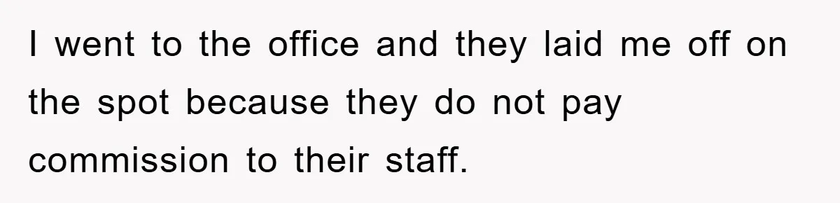 I went to the office and they laid me off on the spot because they do not pay commission to their staff.