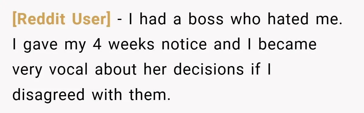 [Reddit User] − I had a boss who hated me. I gave my 4 weeks notice and I became very vocal about her decisions if I disagreed with them.