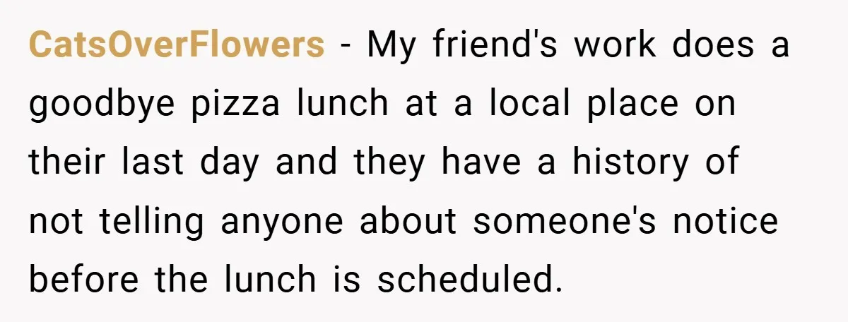 CatsOverFlowers − My friend's work does a goodbye pizza lunch at a local place on their last day and they have a history of not telling anyone about someone's notice...