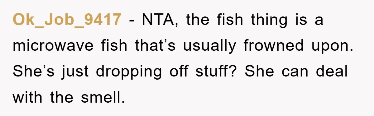 Ok_Job_9417 − NTA, the fish thing is a microwave fish that’s usually frowned upon. She’s just dropping off stuff? She can deal with the smell.