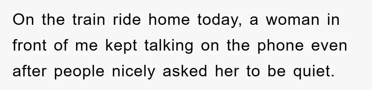 On the train ride home today, a woman in front of me kept talking on the phone even after people nicely asked her to be quiet.