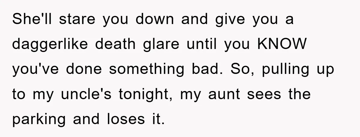 She'll stare you down and give you a daggerlike death glare until you KNOW you've done something bad. So, pulling up to my uncle's tonight, my aunt sees the parking...