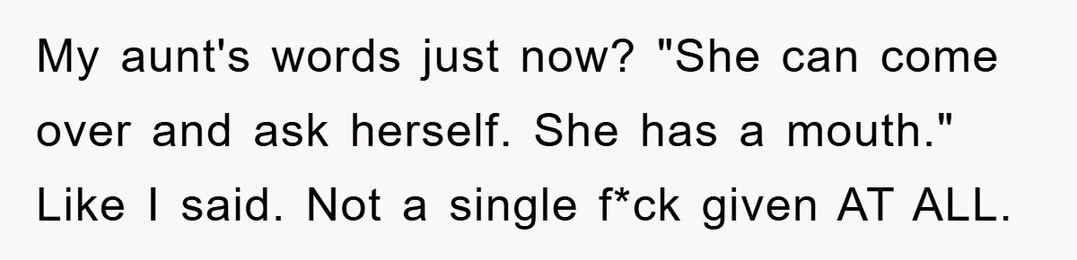 My aunt's words just now? "She can come over and ask herself. She has a mouth." Like I said. Not a single f*ck given AT ALL.
