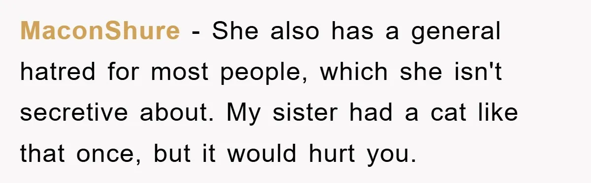 MaconShure − She also has a general hatred for most people, which she isn't secretive about. My sister had a cat like that once, but it would hurt you.