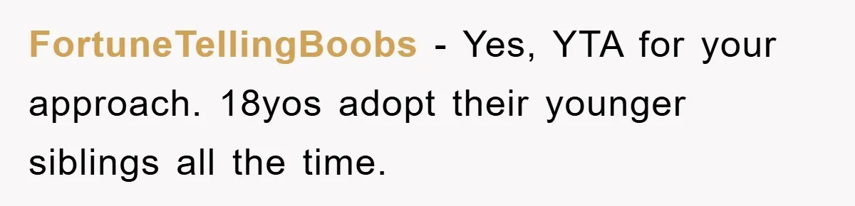 FortuneTellingBoobs − Yes, YTA for your approach. 18yos adopt their younger siblings all the time.
