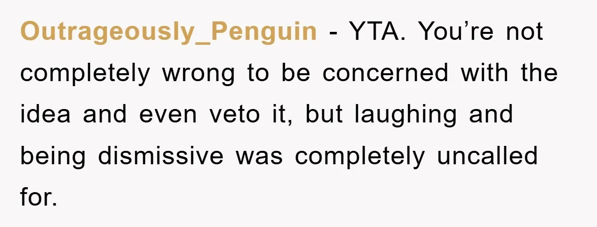 Outrageously_Penguin − YTA. You’re not completely wrong to be concerned with the idea and even veto it, but laughing and being dismissive was completely uncalled for.